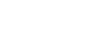 enterprise-ireland-logo